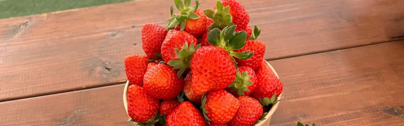 那霸日航酒店在2月26日举办“草莓主题午餐活动”